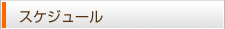スケジュール
